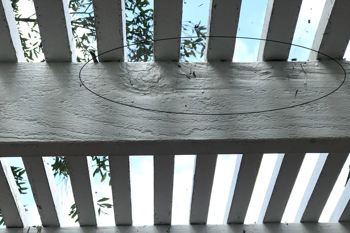 Dryrot on sunken patio cover rafter