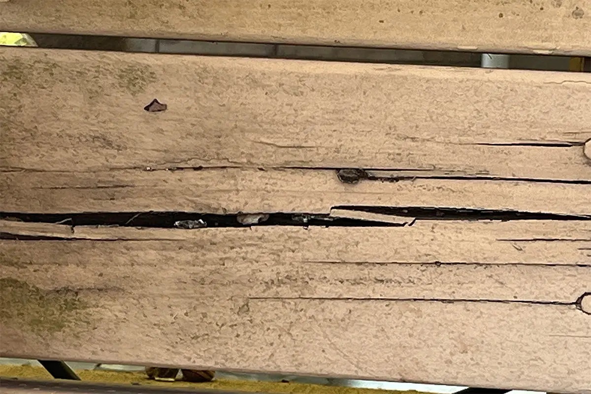 Cracked and softened deck board from dryrot