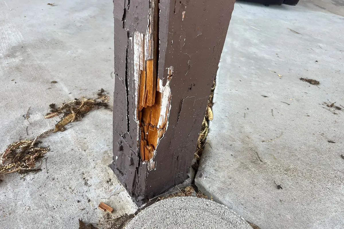 Severe dryrot at base of exterior post