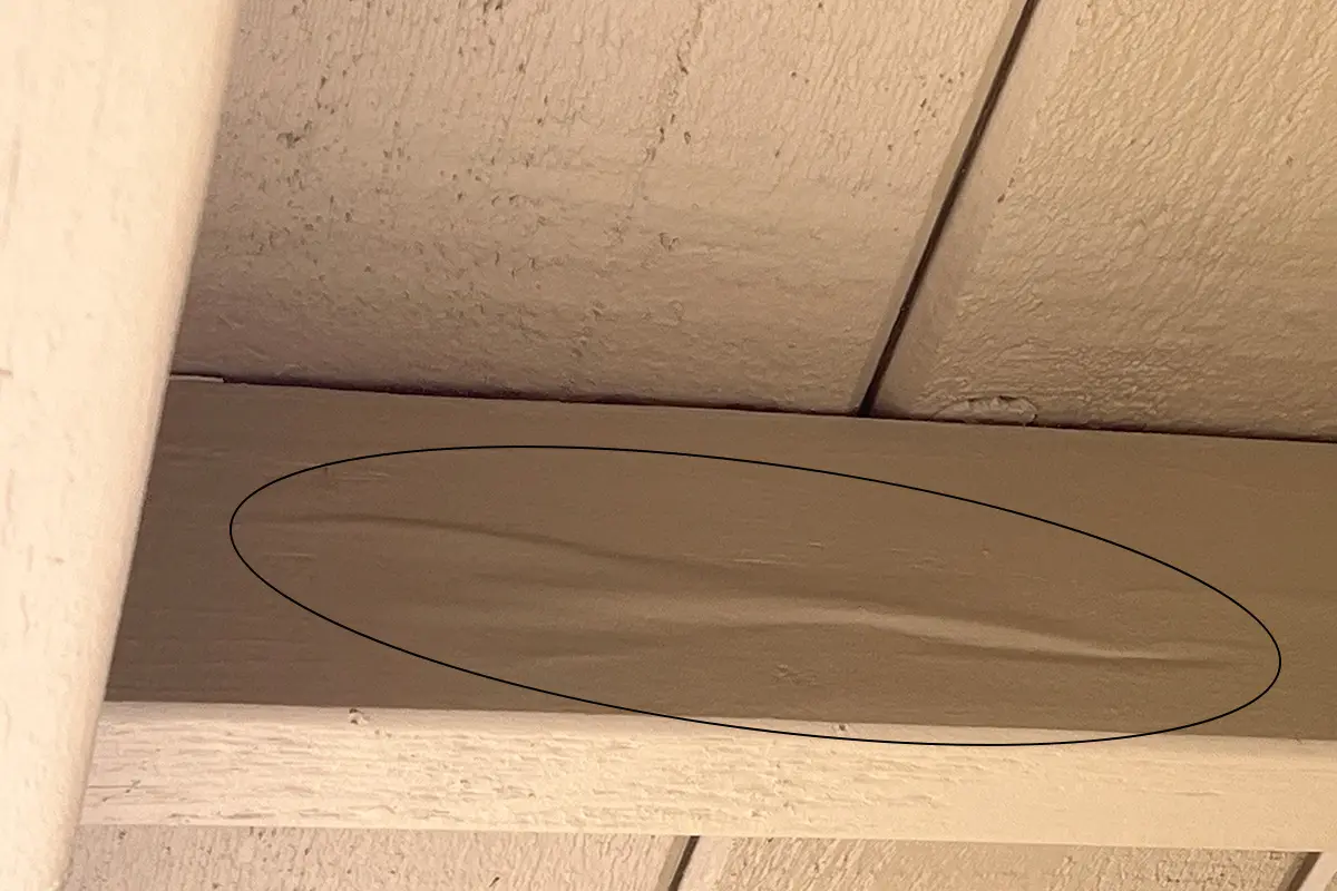 Slight bulge in surface wood indicating internal termite damage
