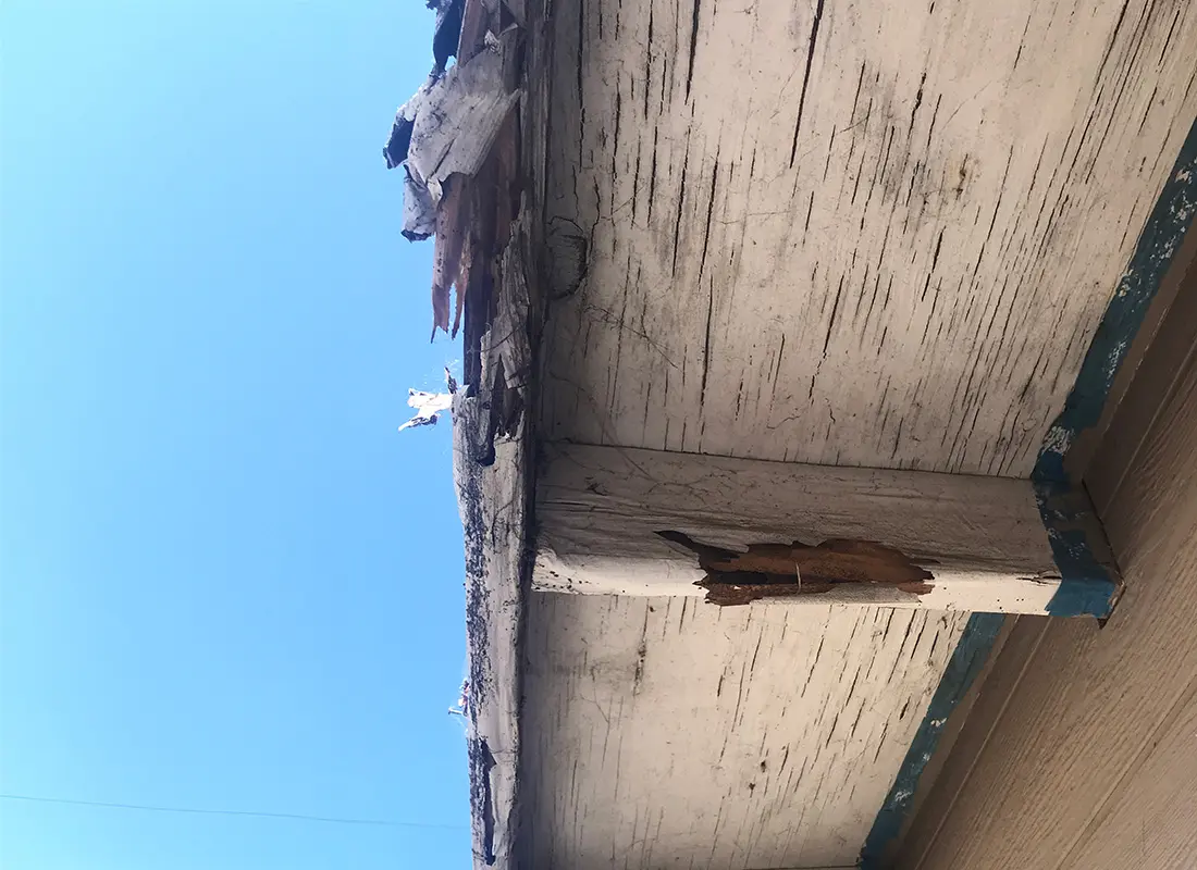 Severe termite damage in eaves caused by long-term infestation