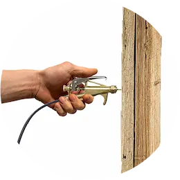 Drywood termite treatment illustration